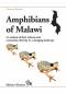 Preview: Amphibians of Malawi
